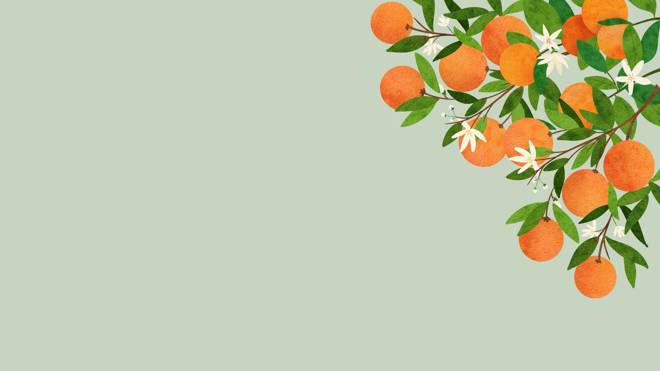 Background oranges