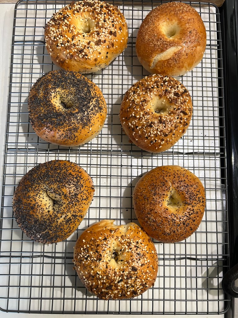7 freshly baked bagels on a cooling rack. There's some everything bagels and poppy seed bagels.